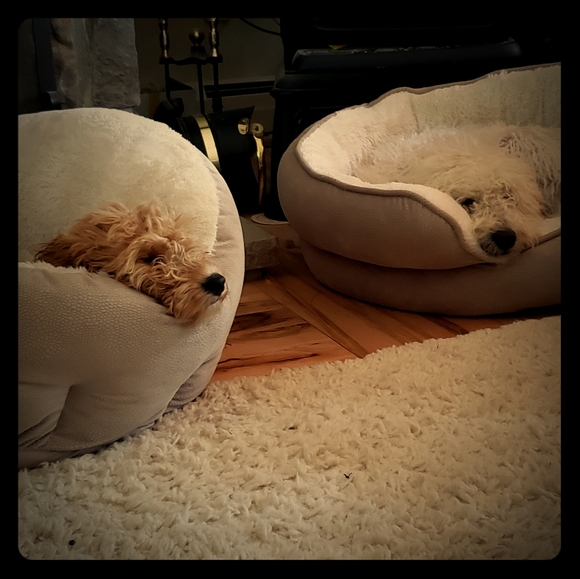 Meet your Posher, Annette - Picture 1 of 1